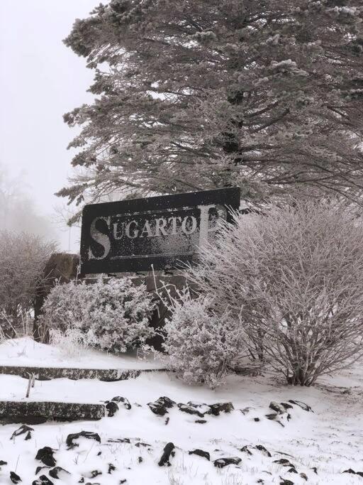 Altitude Adjustment atop Sugar Mountain at Sugar Top Bagian luar foto